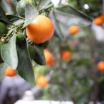 Estándar con balcón photo 2025 06 08 14 09 05