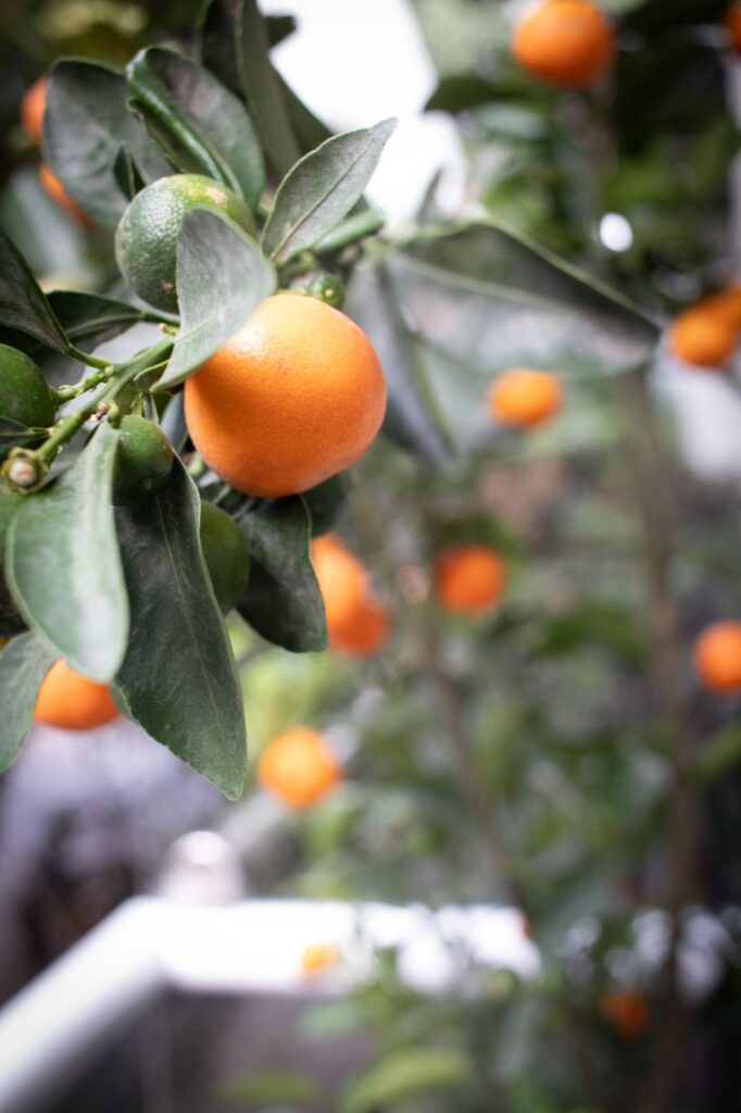 Estándar con balcón photo 2025 06 08 14 09 05